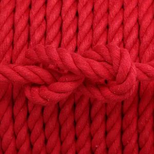 Rot